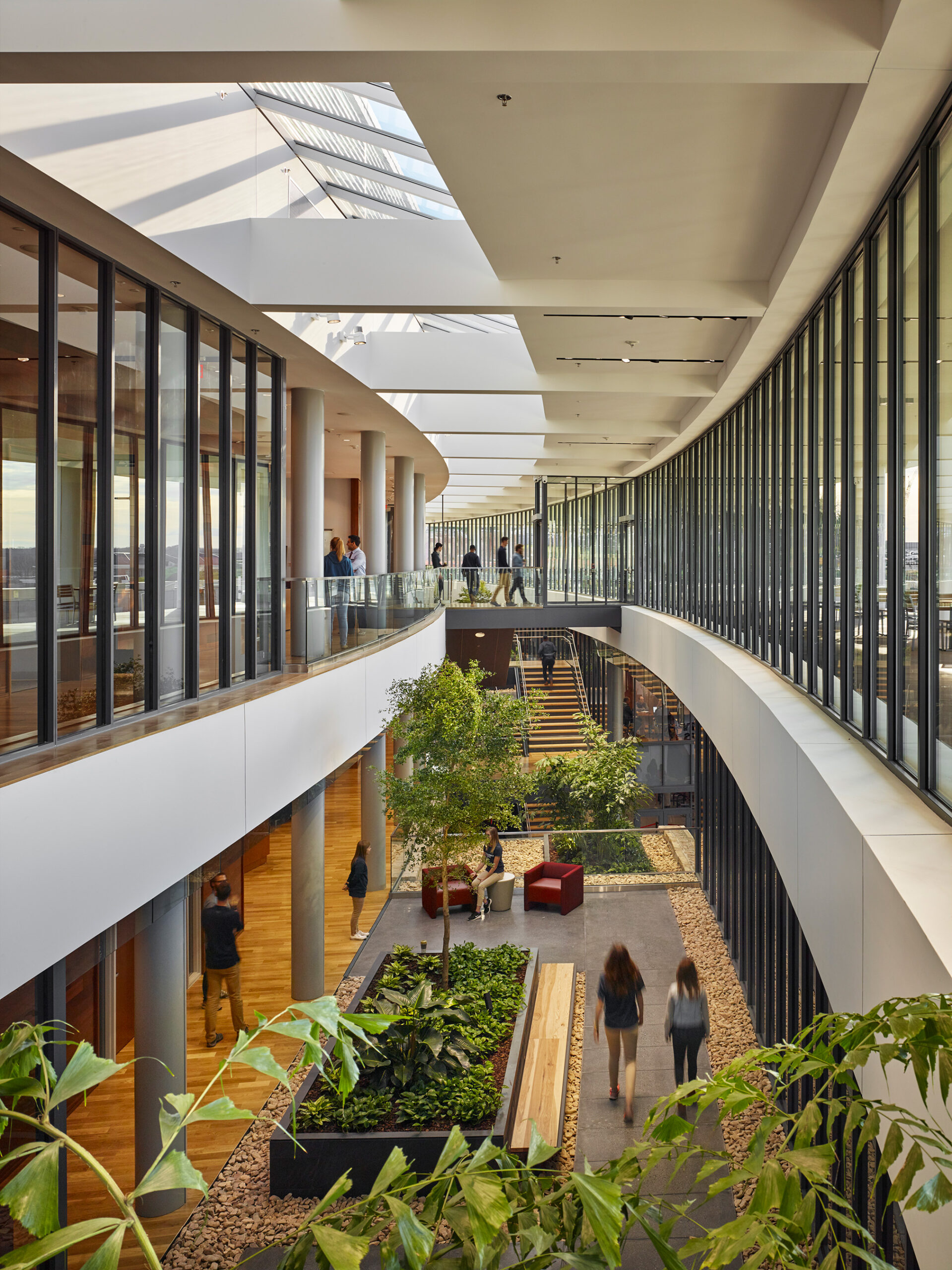 The Role of Biophilic Design in Supporting the Student Athlete - VMDO ...
